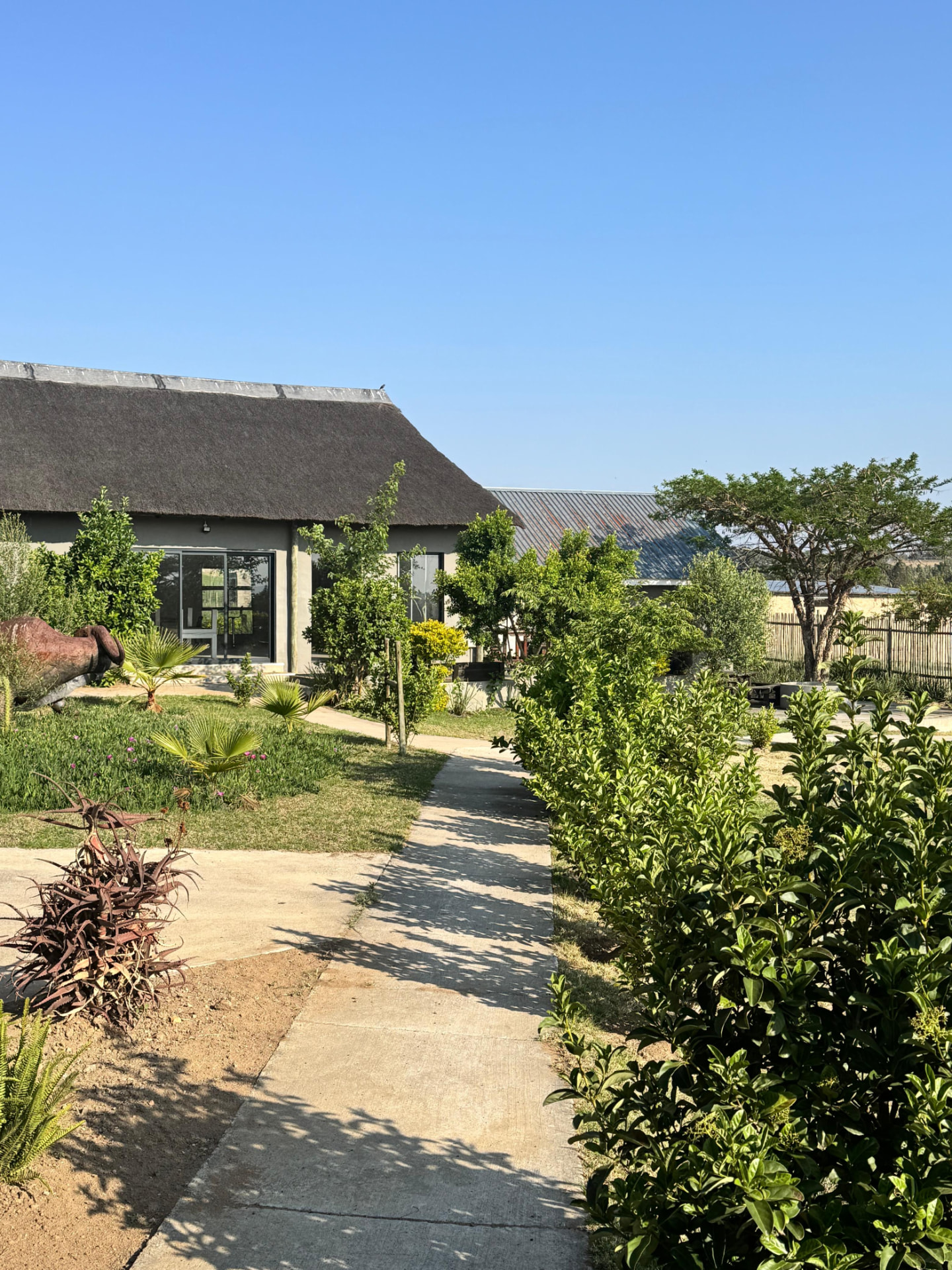 Garden pathway leading to the thatched lodge at Gabareja
