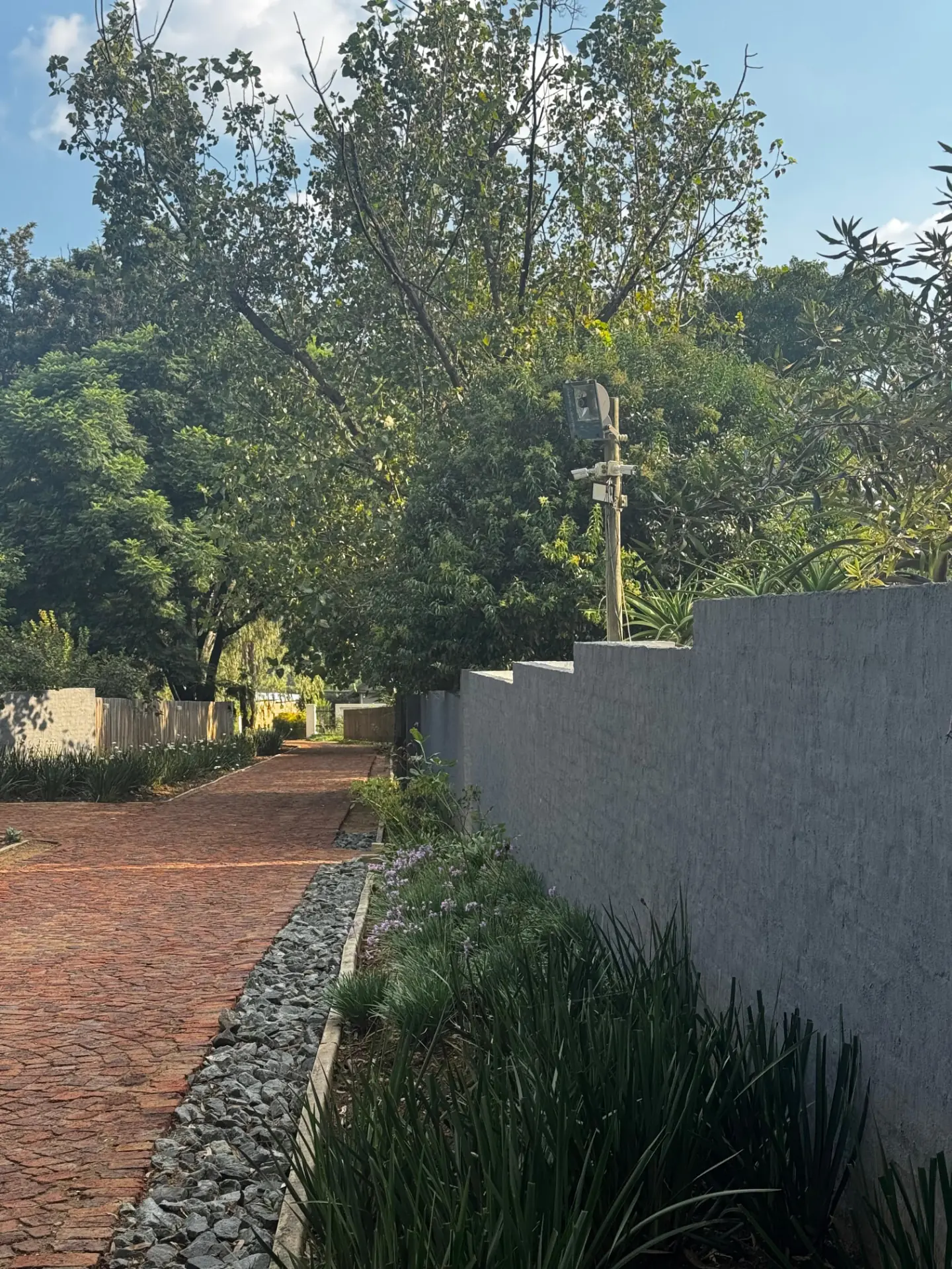 Brick pathway winding between the garden beds towards the cottages